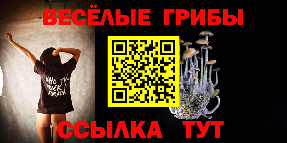 Галлюциногенные грибы прущие грибы Зерноград